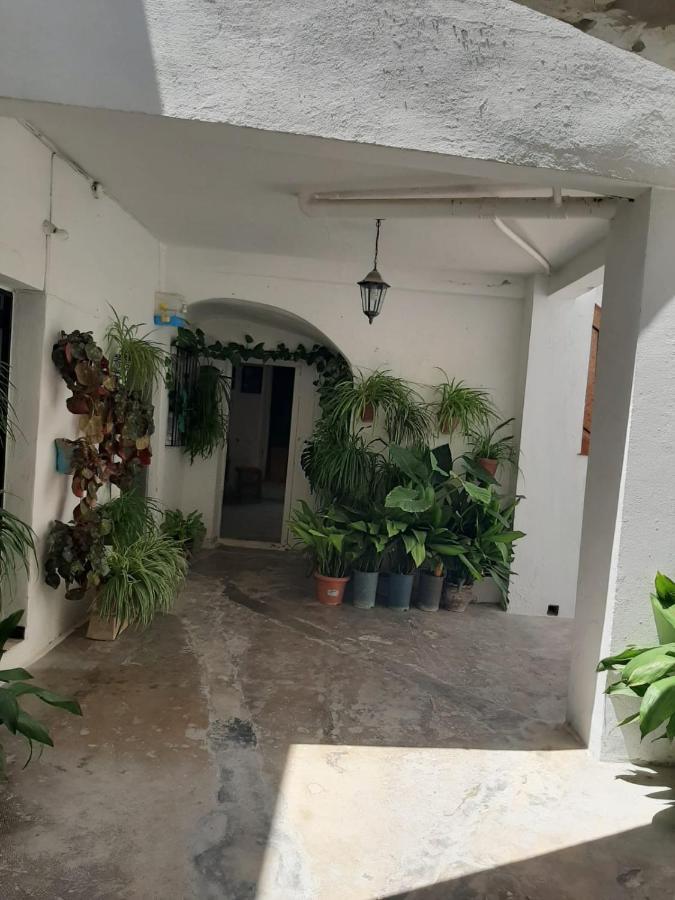 El Estudio del Zaguán Vejer de la Frontera Exterior foto